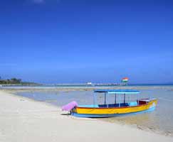 Honeymoon Tour To Port Blair