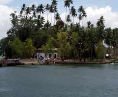 Port Blair Travel Package